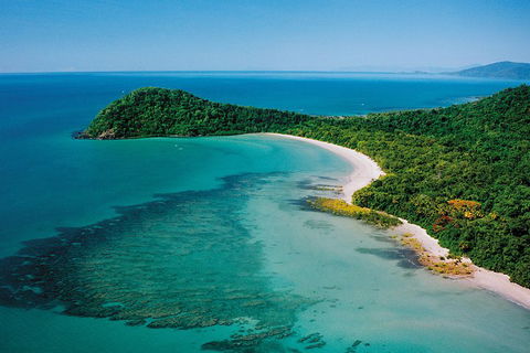 Daintree Rainforest, Cape Tribulation, Mossman Gorge Small-Group Day Tour - Gold Coast Attractions 4