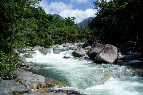 Daintree Rainforest, Cape Tribulation, Mossman Gorge Small-Group Day Tour - Gold Coast Attractions 5