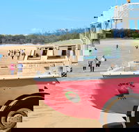 1770 Coastline Tour by LARC Amphibious Vehicle Including Picnic Lunch