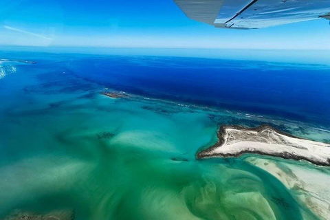 Wet Season Incredible Islands Tour - Horizontal Falls & Cygnet Bay Pearl Farm - Gold Coast Attractions 4