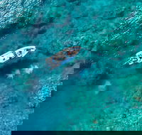 Premium Private Charter