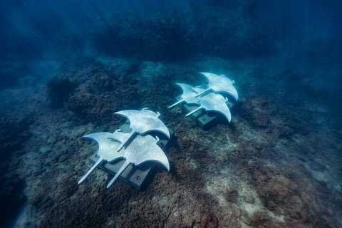 Premium Private Charter - Gold Coast Attractions 3