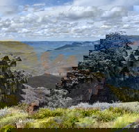 Blue Mountains Private Tour - wild kangaroos waterfalls and The Three Sisters - Gold Coast Attractions