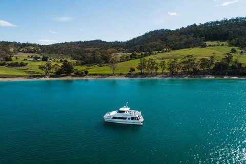 Deep-to-Dish: Tasmanian Seafood Experience - Gold Coast Attractions 0