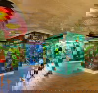 Skyrail  Kuranda Train Day Trip from Cairns