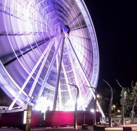 Discover Brisbane - Gold Coast Attractions
