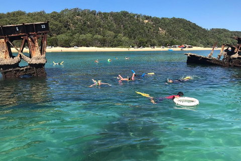 All Inclusive Dolphin And Tangalooma Wrecks Cruise - Gold Coast Attractions 0