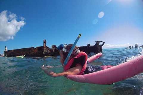 All Inclusive Dolphin And Tangalooma Wrecks Cruise - Gold Coast Attractions 2