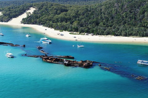 All Inclusive Dolphin And Tangalooma Wrecks Cruise - Gold Coast Attractions 4