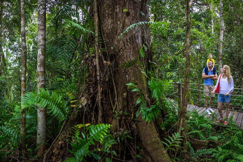 Kuranda Day Tour + HotAir Balloon Combo - Gold Coast Attractions 3