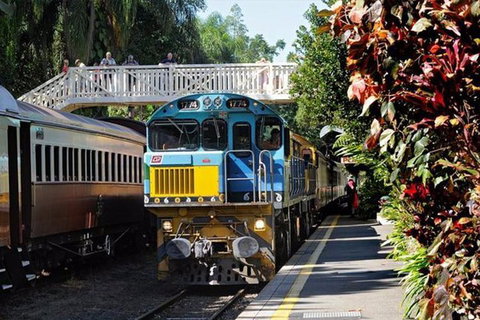 Kuranda Day Tour + HotAir Balloon Combo - Gold Coast Attractions 4