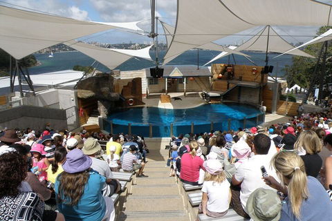 Sydney Taronga Zoo General Entry Ticket - Gold Coast Attractions 5