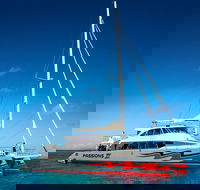Passions of Paradise Great Barrier Reef Snorkel and Dive Cruise from Cairns by Luxury Catamaran - Gold Coast Attractions