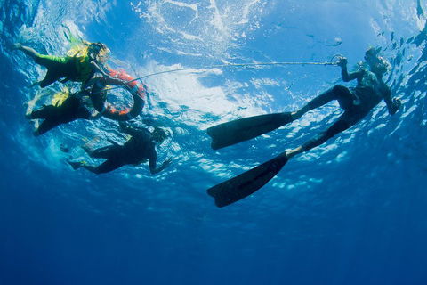 Passions Of Paradise Great Barrier Reef Snorkel And Dive Cruise From Cairns By Luxury Catamaran - Gold Coast Attractions 2