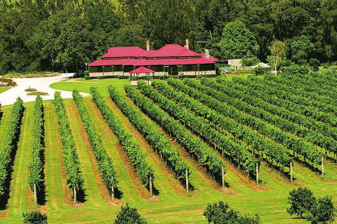 O'Reilly's & Lamington National Park From Brisbane - Gold Coast Attractions 2