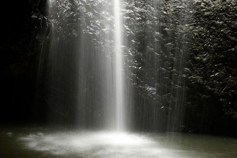 Natural Bridge Glow Worm Night Tour From Gold Coast - Gold Coast Attractions 2