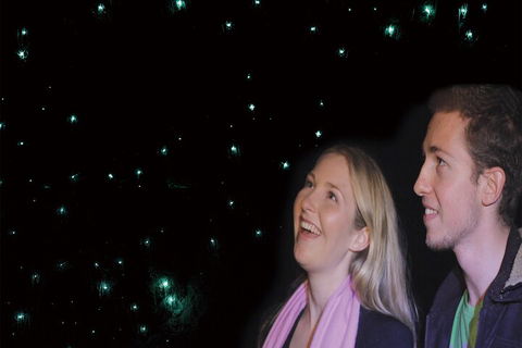 Natural Bridge Glow Worm Night Tour From Gold Coast - Gold Coast Attractions 3