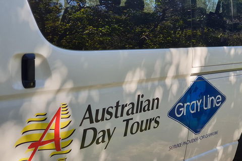 Natural Bridge Glow Worm Night Tour From Gold Coast - Gold Coast Attractions 5