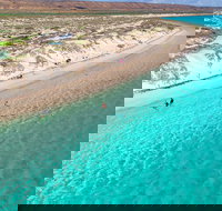 Ningaloo in a Day - Full Day Hike and Snorkel Tour with Lunch - Gold Coast Attractions