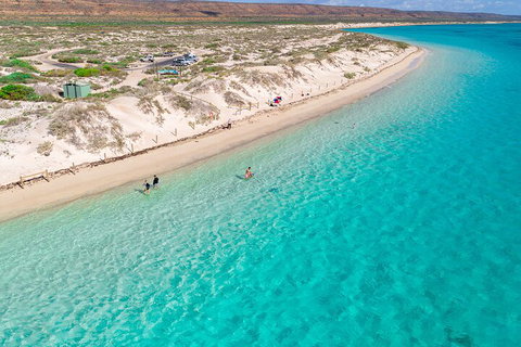 Ningaloo In A Day - Full Day Hike And Snorkel Tour With Lunch - Gold Coast Attractions 0