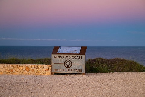 Ningaloo In A Day - Full Day Hike And Snorkel Tour With Lunch - Gold Coast Attractions 5