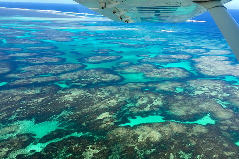 Shipwreck Special Full Day Tour Of The Abrolhos Islands - Gold Coast Attractions 1