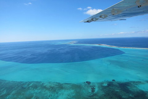 Shipwreck Special Full Day Tour Of The Abrolhos Islands - Gold Coast Attractions 2