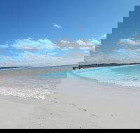 Shipwreck Special Nature Tour/Half Day Tour - Gold Coast Attractions