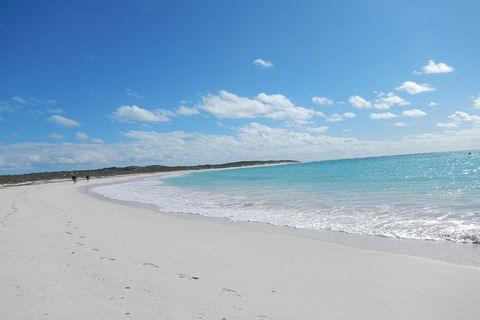 Shipwreck Special Nature Tour/Half Day Tour - Gold Coast Attractions 0