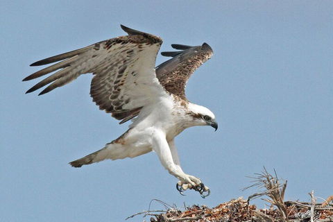 Shipwreck Special Nature Tour/Half Day Tour - Gold Coast Attractions 4