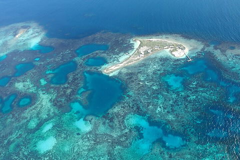 Shipwreck Special Nature Tour/Half Day Tour - Gold Coast Attractions 5