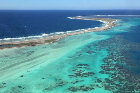 Pink Lake + Abrolhos Islands Nature Tour - Gold Coast Attractions 2