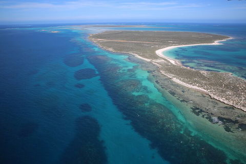 Pink Lake + Abrolhos Islands Scenic Flight - Gold Coast Attractions 0