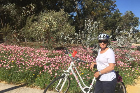 Perth Bike Tour - Beautiful Matilda Bay And Kings Park - Gold Coast Attractions 1