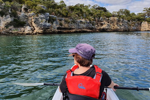 Cliffs And Caves Kayak Tour In Swan River - Gold Coast Attractions 0