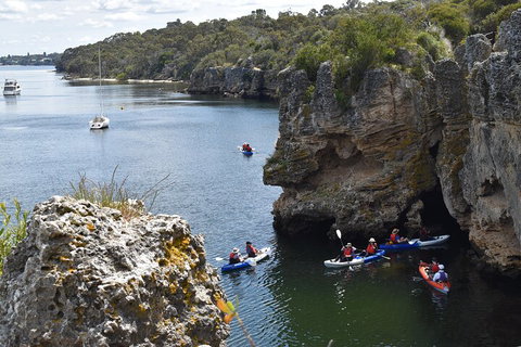 Cliffs And Caves Kayak Tour In Swan River - Gold Coast Attractions 5