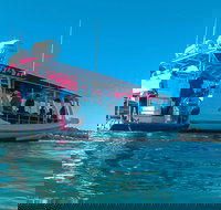 Best of Moreton Bay Cruise - Gold Coast Attractions