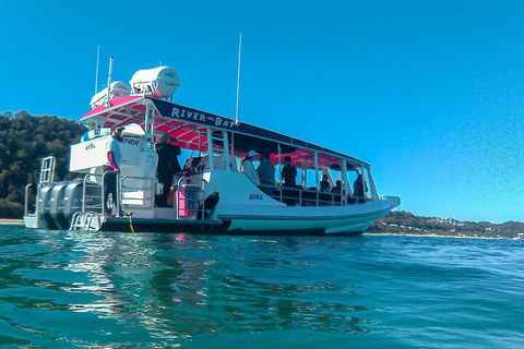 Best Of Moreton Bay Cruise - Gold Coast Attractions 0
