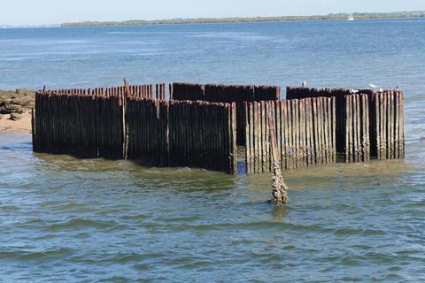 Best Of Moreton Bay Cruise - Gold Coast Attractions 1