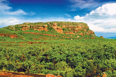 Kakadu, Nourlangie And Yellow Waters Tour From Darwin - Gold Coast Attractions 3