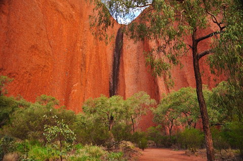 Uluru Sunrise And Guided Base Walk - Gold Coast Attractions 3
