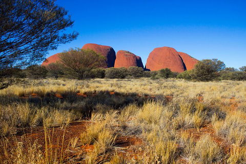 Kata Tjuta Sunrise And Valley Of The Winds Half-Day Trip - Gold Coast Attractions 1