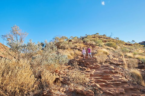 Kings Canyon Guided Rim Walk - Gold Coast Attractions 1