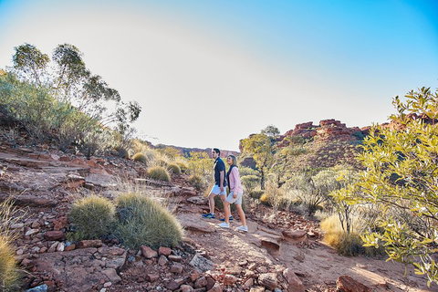 Kings Canyon Guided Rim Walk - Gold Coast Attractions 5