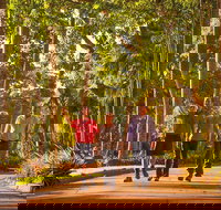 Darwin City Sights and Jumping Crocodile Cruise - Gold Coast Attractions