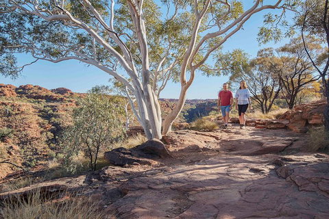 3-Day Tour From Uluru (Ayers Rock) To Alice Springs Via Kings Canyon - Gold Coast Attractions 1