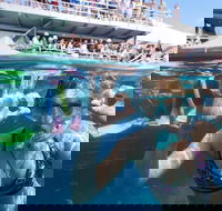 Great Barrier Reef Day Cruise from Cairns Including Snorkeling and Marine Biologist Presentation - Gold Coast Attractions