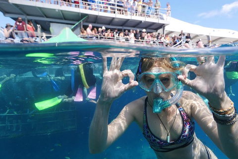 Great Barrier Reef Day Cruise From Cairns Including Snorkeling And Marine Biologist Presentation - Gold Coast Attractions 0