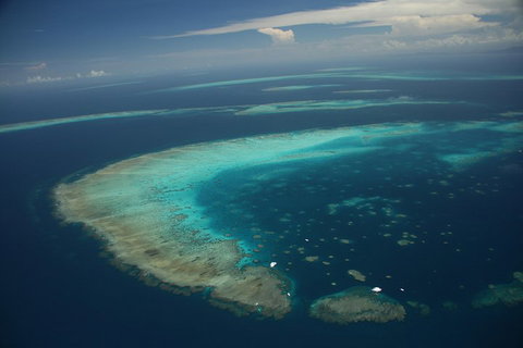 Great Barrier Reef Day Cruise From Cairns Including Snorkeling And Marine Biologist Presentation - Gold Coast Attractions 1