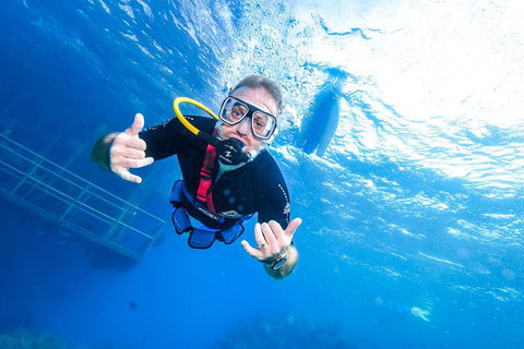 Great Barrier Reef Day Cruise From Cairns Including Snorkeling And Marine Biologist Presentation - Gold Coast Attractions 3